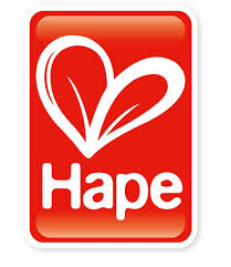 Hape sürdürülebilir ahşap eğitici oyuncaklar markası logosu.